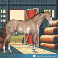Horse Color:Red Dun Sabino 