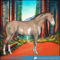Horse Color:Red Dun Sabino 