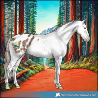 Horse Color:Liver Red Dun Sabino Varnish 