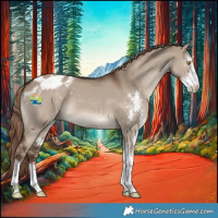 Horse Color:Liver Red Dun Sabino Appaloosa