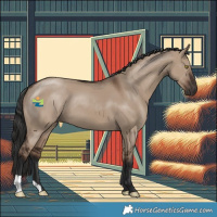 Horse Color:Liver Red Dun 