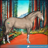 Horse Color:Liver Red Dun 