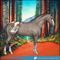 Horse Color:Liver Red Dun Appaloosa Brindle 