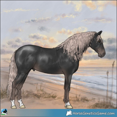 Horse Color:Platinum Liver Chestnut 