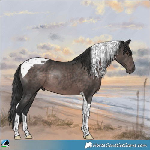 Horse Color:Platinum Liver Chestnut Tobiano Rabicano 