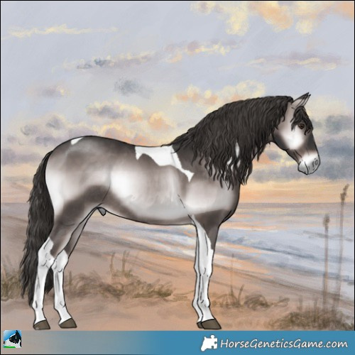 Horse Color:Platinum Liver Red Onyx Tobiano Rabicano 