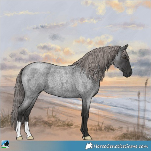 Horse Color:Platinum Liver Red Roan 