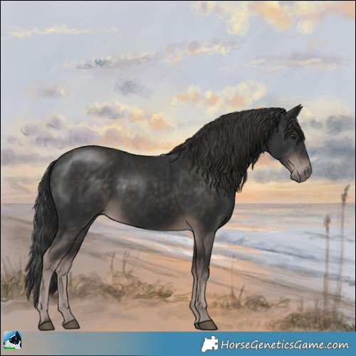 Horse Color:Platinum Liver Chestnut Rabicano