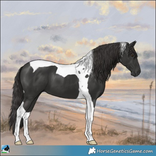 Horse Color:Platinum Liver Chestnut Tobiano