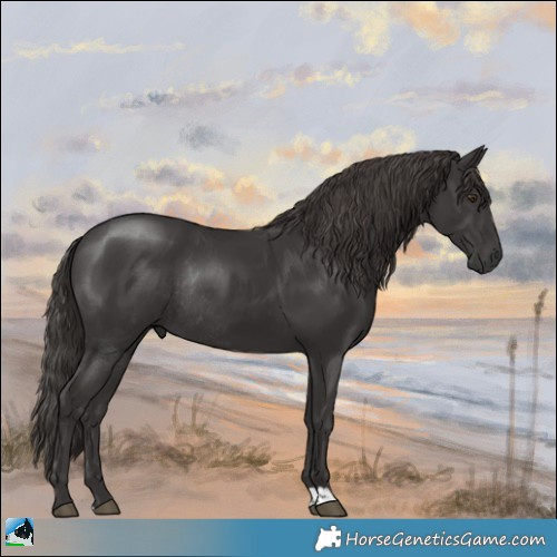 Horse Color:Platinum Liver Chestnut Rabicano 