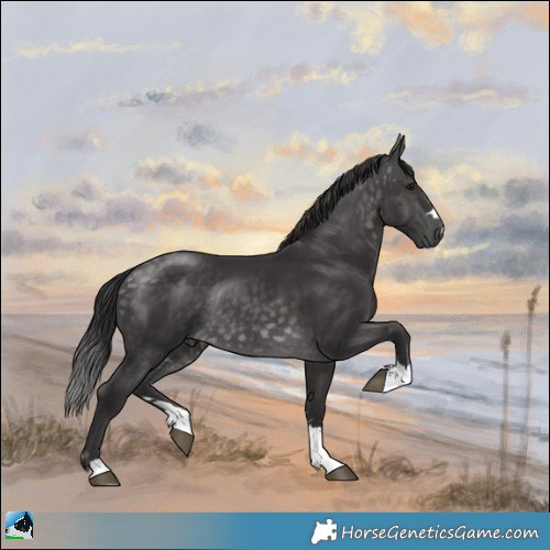 Horse Color:Platinum Buckskin Rabicano 