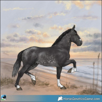 Horse Color:Platinum Buckskin Rabicano