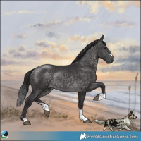 Horse Color:Platinum Buckskin Rabicano