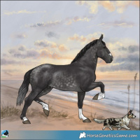 Horse Color:Platinum Buckskin Rabicano 
