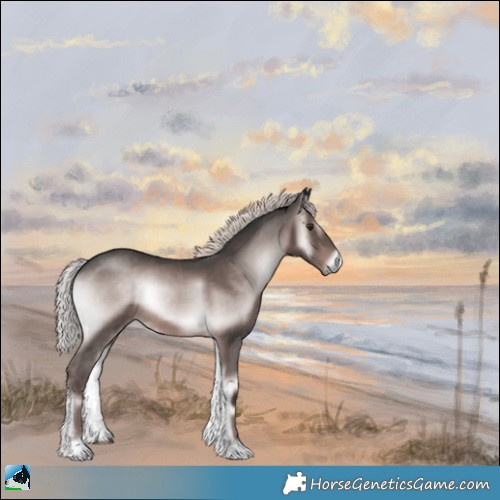 Horse Color:Platinum Liver Red Onyx 