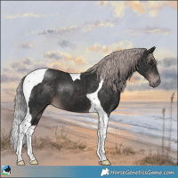 Horse Color:Platinum Liver Chestnut Tobiano 