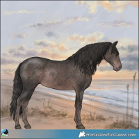 Horse Color:Platinum Liver Chestnut Rabicano 