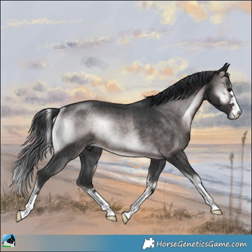 Horse Color:Platinum Brown Onyx Rabicano 