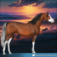 Horse Color:Bay Splash Rabicano