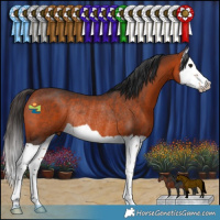 Horse Color:Brown Splash Rabicano 