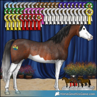 Horse Color:Brown Splash Rabicano