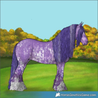 Horse Color:Watercolor White Spotted Liver Red Dun Rabicano  and Gray Watercolor Liver Red Dun Brindle 