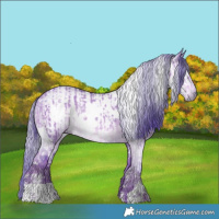 Horse Color:Watercolor White Spotted Liver Red Dun Rabicano and Gray Watercolor Liver Red Dun Brindle