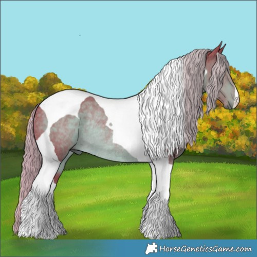 Horse Color:Watercolor Chocolate Palomino Tobiano Rabicano 