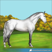 Horse Color:Gray Silver Smoky Black Blanket 