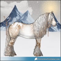 Horse Color:Gray Chocolate Palomino Dun Tobiano Blanket 