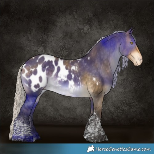 Horse Color:Silver Buckskin Dun Tobiano Blanket 