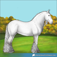 Horse Color:Gray Grullo Sabino Tobiano Rabicano  and Gray Liver Red Dun Sabino Tobiano Snowflake Varnish Rabicano 