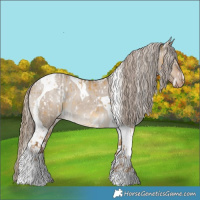 Horse Color:White Spotted Chocolate Palomino Dun Appaloosa Brindle  and Liver Red Dun Tobiano Appaloosa Brindle 
