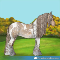 Horse Color:White Spotted Chocolate Palomino Dun Appaloosa Brindle  and Liver Red Dun Tobiano Appaloosa Brindle 