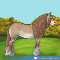 Horse Color:Gray Liver Red Dun Sabino Brindle 