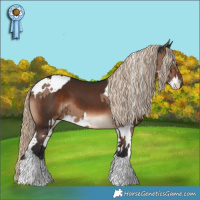 Horse Color:Liver Chestnut Splash  and White Spotted Liver Red Dun Brindle 