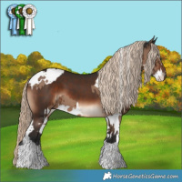 Horse Color:Liver Chestnut Splash and White Spotted Liver Red Dun Brindle