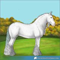Horse Color:Liver Red Dun Tobiano Appaloosa Brindle 