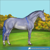 Horse Color:Watercolor Liver Red Dun Rabicano 