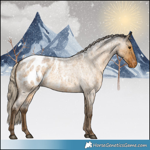 Horse Color:Chocolate Palomino Roan Dun Blanket Brindle 