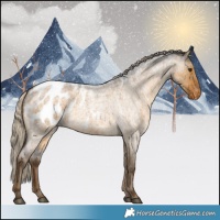 Horse Color:Chocolate Palomino Roan Dun Blanket Brindle 
