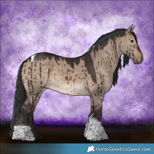 Horse Color:Brown Dun Tobiano Brindle 