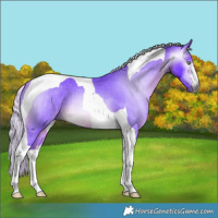 Horse Color:Gray Watercolor Silver Buckskin Tobiano Varnish 