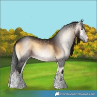 Horse Color:Gray White Spotted Brown Onyx Varnish 