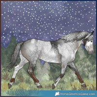 Horse Color:Gray White Spotted Liver Red Roan Varnish  and Gray White Spotted Liver Chestnut Rabicano 