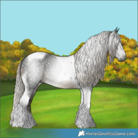 Horse Color:Gray Silver Smoky Black Tobiano 