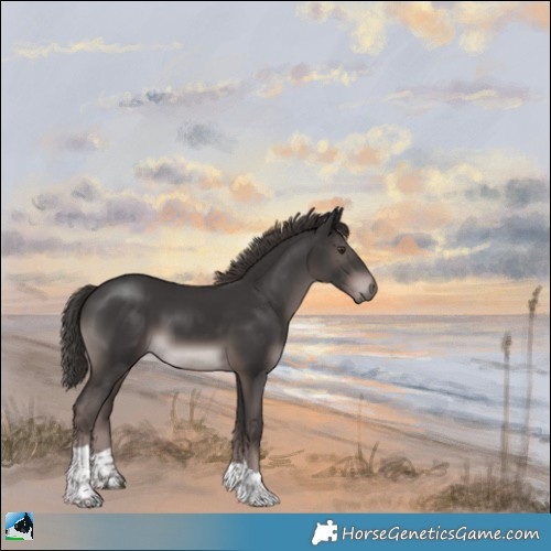 Horse Color:Platinum Liver Chestnut Tobiano 