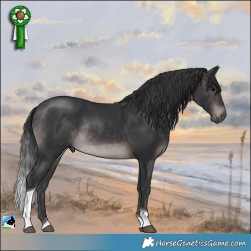 Horse Color:Platinum Brown Tobiano Rabicano 