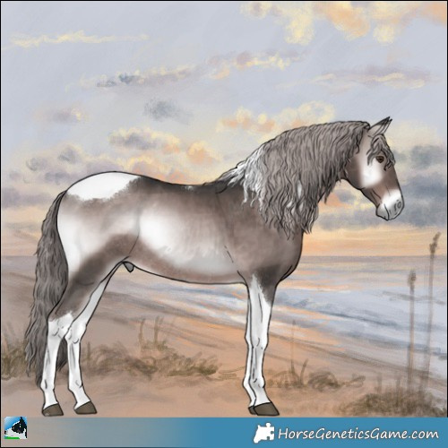 Horse Color:Platinum Liver Red Onyx Tobiano Rabicano 