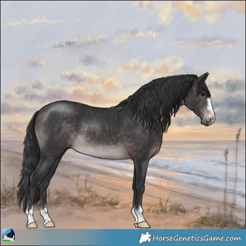 Horse Color:Platinum Brown